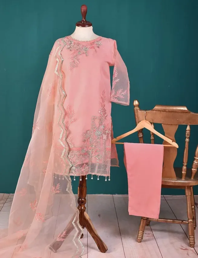 Organza Embroidered Salwar Kameez Suit