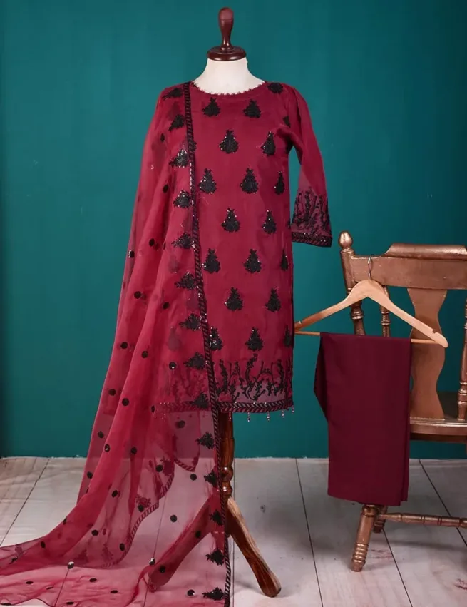 Sequin Detail Embroidered Organza Salwar Kameez Suit