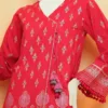 Ready Made Printed Lawn Suit - Image 2