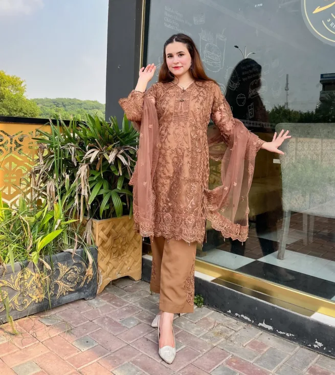 Tan Net Salwar Kameez