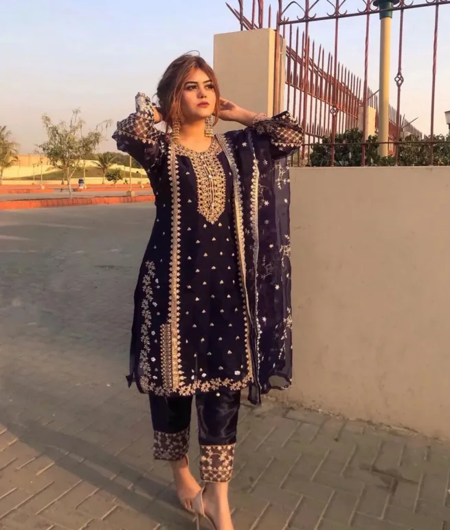 Ready to Wear Organza Suit