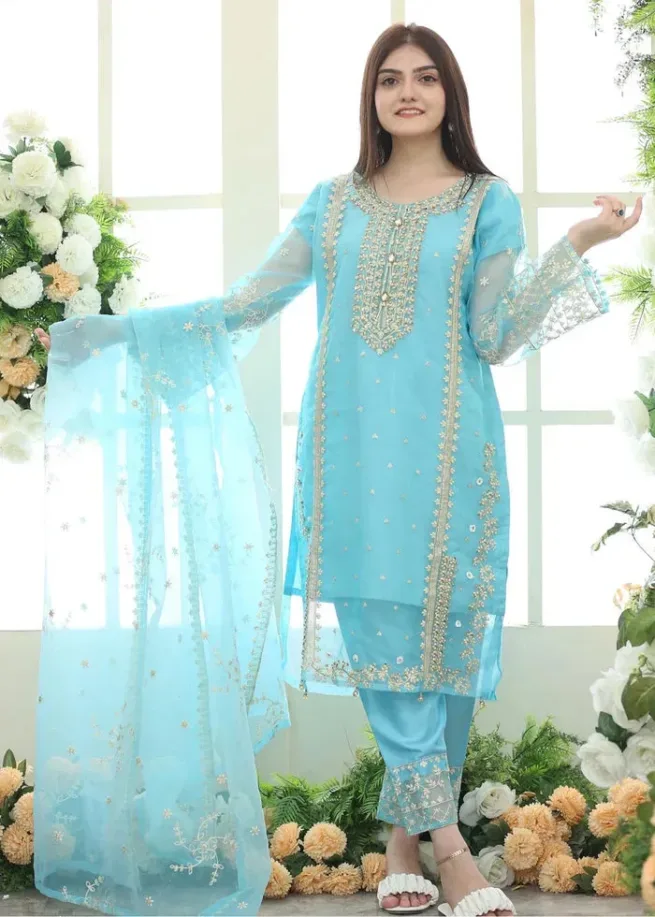 Organza Sky Blue Suit