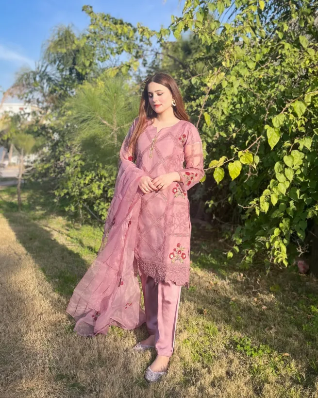 Ready Made Organza Salwar Kameez