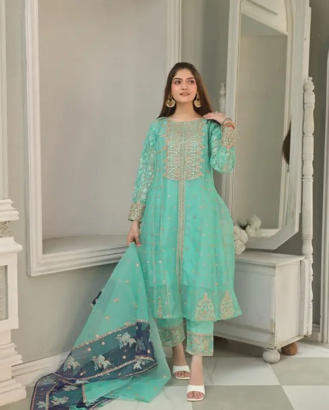 Embroidered Organza Dress