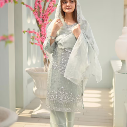 Motif Embellished Organza Party Wear Suit