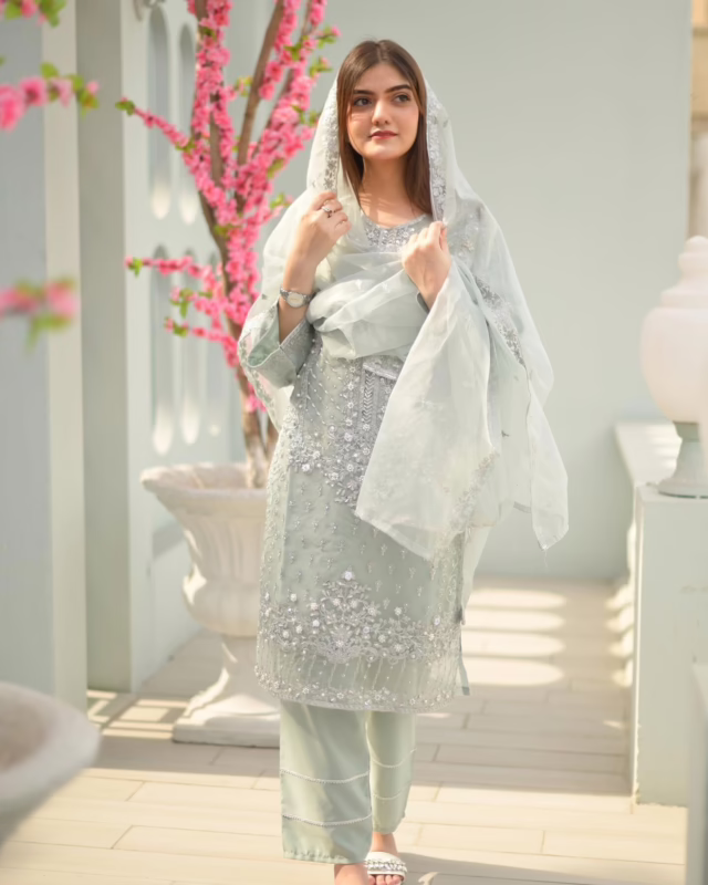 Motif Embellished Organza Party Wear Suit