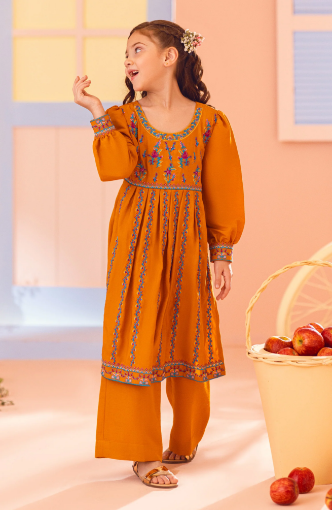 Girls Embroidered 2 Piece Dress