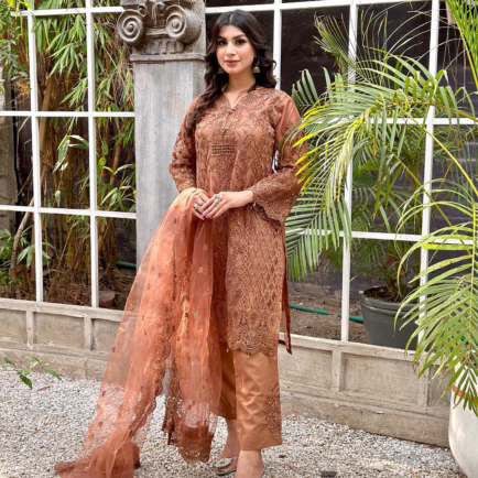 Ready Made Premium Quality Net Embroidered Suit