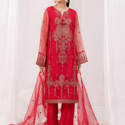 Two Piece Embroidered Organza Co ord Outfit