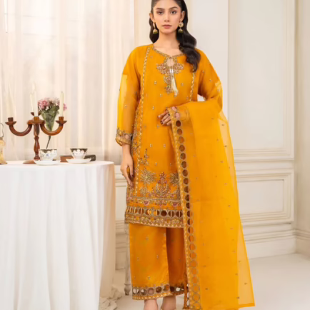 Mustard Cutwork Embroidered Organza Suit