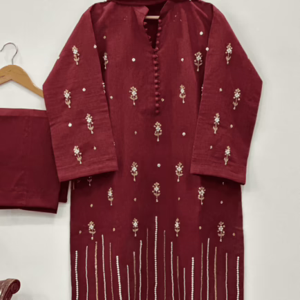 Karandi Net Embellished Suit