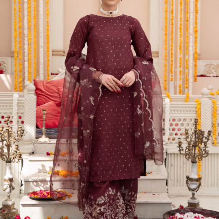 Fancy Embroidered Palazo Outfit