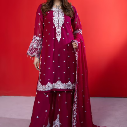Heavily Embroidered 3 Piece Gharara Outfit