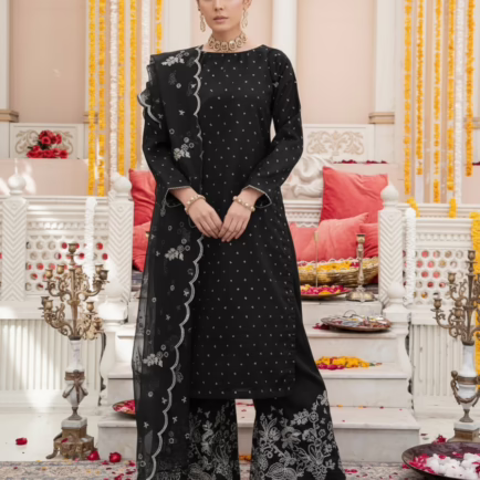 Khadi Net Embroidered Fancy Outfit