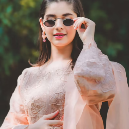 Alternative view of Shahmeer Grey/Coffee Embroidered Organza Suit