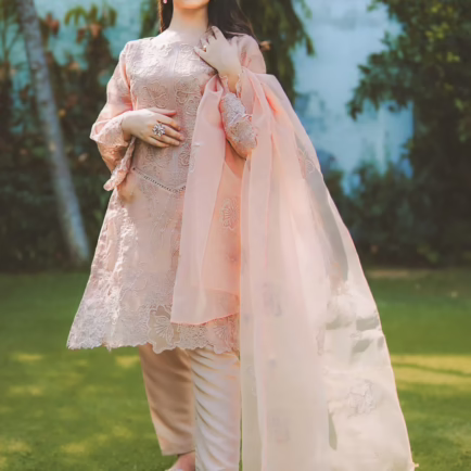 Shahmeer Grey/Coffee Embroidered Organza Suit