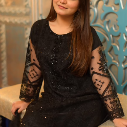 Alternative view of Black Net Fancy Embroidered Suit