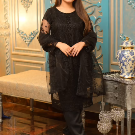 Black Net Fancy Embroidered Suit