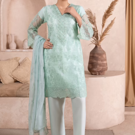 Chikan Kari Embroidered Organza Suit