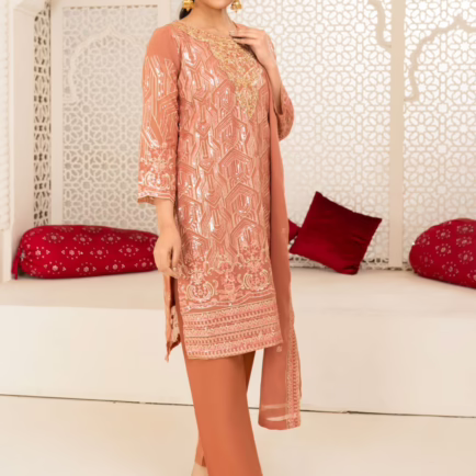 Alternative view of Baarish Embroidered Chiffon Suit - 2 Colours