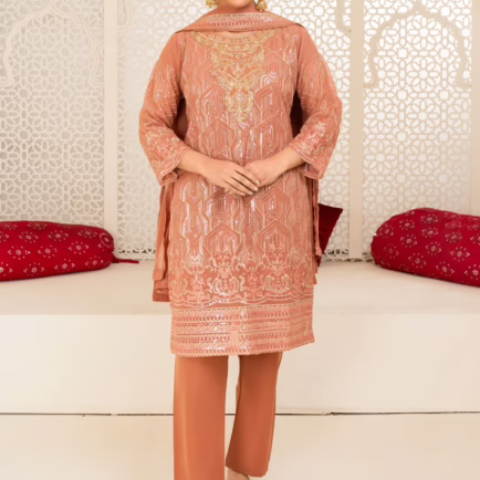 Baarish Embroidered Chiffon Suit - 2 Colours