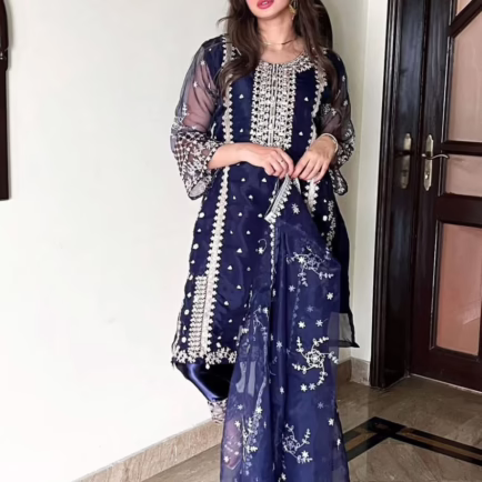 Alternative view of Sheer Elegance Embroidered Organza Outfit - 4 Colours