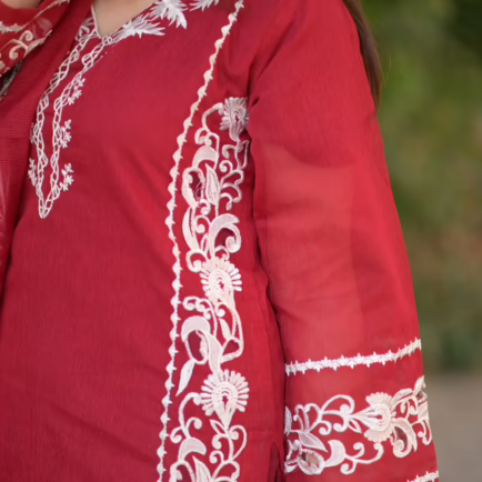 Alternative view of Karandi Net Fancy Embroidered Suit